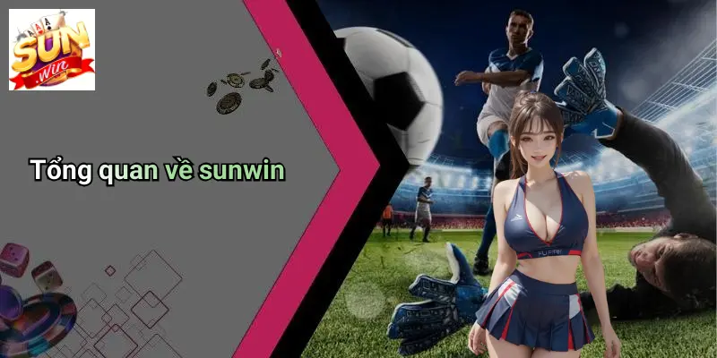 Trang Chủ 9 tong-quan-ve-sunwin
